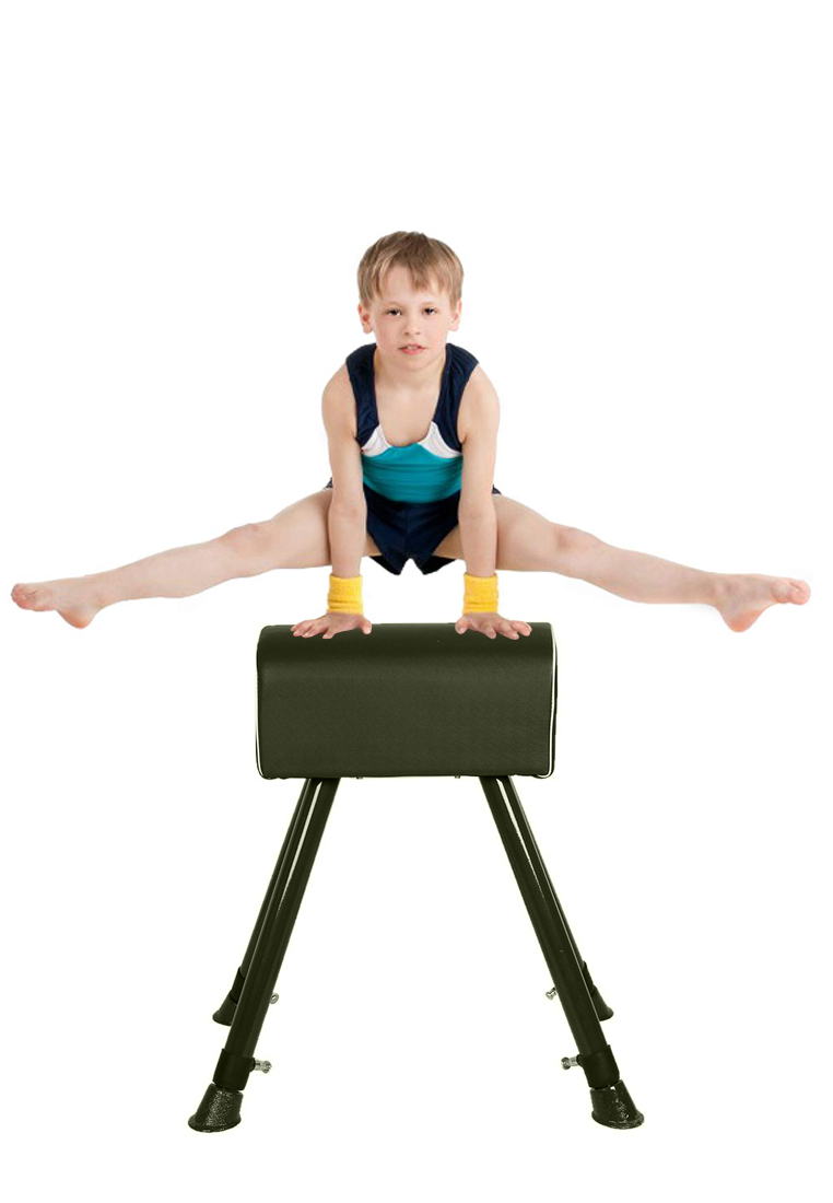 1 x Adjustable Height Gymnastics Pommel Horse Sports Equipment Archives